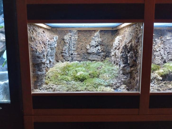 Terrarium, Animaux & Accessoires, Reptiles & Amphibiens | Accessoires, Enlèvement ou Envoi