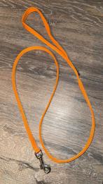 Leibanden voor kleine hondjes 6 stuks, Enlèvement, Comme neuf