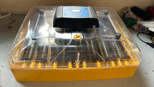 Volautomatische broedkast, Dieren en Toebehoren, Pluimvee