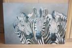 canvas zebra's, Enlèvement, Utilisé