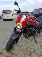 Suzuki SV650, Motoren, Motoren | Suzuki, Naked bike, 650 cc, Particulier, 2 cilinders