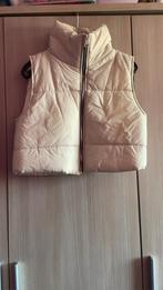 Bodywarmer, Vêtements | Femmes, Blousons sans Manches, Enlèvement ou Envoi, Neuf, Beige