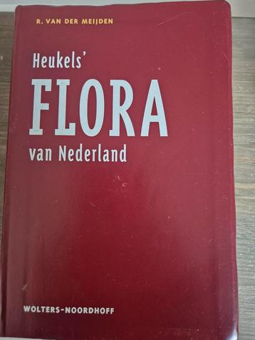 Heukels' flora determinatieboek zeer goede conditie beschikbaar voor biedingen