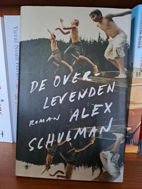 Alex Schulman - De overlevenden, Livres, Littérature, Comme neuf, Enlèvement ou Envoi