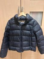 Tommy Hilfiger - winterjas dames -Maat M, Kleding | Dames, Jassen | Winter, Maat 38/40 (M), Blauw, Ophalen of Verzenden, Zo goed als nieuw