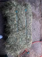 Mooie kleine botjes hooi zonder onkruid ( levering mogelijk), Dieren en Toebehoren, Ophalen