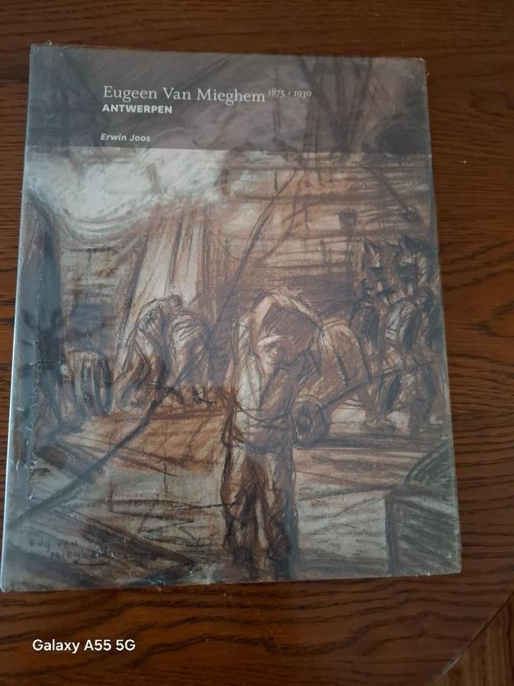 Eugeen Van Mieghem Joos Erwin  Duitstalig boek nieuw, Boeken, Kunst en Cultuur | Beeldend, Nieuw, Schilder- en Tekenkunst, Ophalen of Verzenden