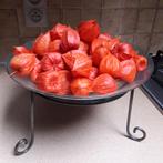 Fruitschaal op voet schaal in glas versiert met lampionnen, Ophalen, Schaal, Rond, Nieuw