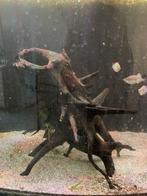 Aquariumhout, Ophalen