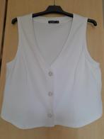 Vest, Ophalen of Verzenden, Nieuw