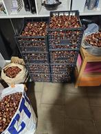 Kastanjes, Zakelijke goederen, Ophalen