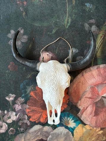 Decoratieve namaak buffel schedel ibiza stijl - wit  beschikbaar voor biedingen