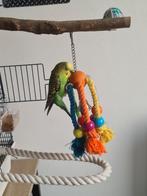 Dringend, Dieren en Toebehoren