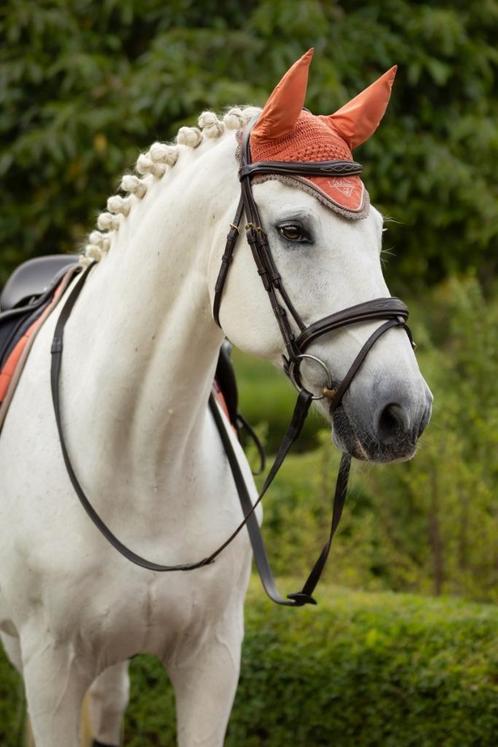 LeMieux Classic Oornetje Apricot full, Animaux & Accessoires, Chevaux & Poneys | Brides & Harnachement, Neuf, Autres espèces, Enlèvement ou Envoi