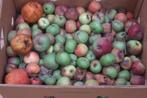Appelen voor paarden, varkens, ganzen, of andere dieren, Ophalen