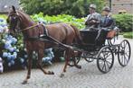 Lux ponytuig hand gemaakt door Paul Claesens, Ophalen, Gebruikt