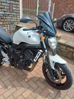 Yamaha fz6 n, Motoren, Motoren | Yamaha, 4 cilinders, Particulier, 600 cc, Naked bike