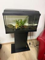 Aquarium Juwel, Dieren en Toebehoren, Vissen | Aquaria en Toebehoren, Ophalen, Zo goed als nieuw