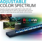 Aquarium 123L | aquarium d'eau douce | LIVRAISON GRATUITE, Neuf, -, -, Aquarium vide