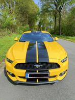 Ford Mustang 2.3 Eco Boost 317 ch, Autos, Cuir, Propulsion arrière, Achat, 4 cylindres
