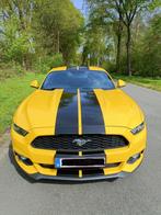 Ford Mustang 2.3 Eco Boost 317pk, Te koop, Benzine, Coupé, Leder