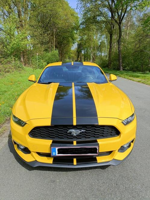 Ford Mustang 2.3 Eco Boost 317pk, Auto's, Ford, Particulier, Mustang, ABS, Achteruitrijcamera, Adaptieve lichten, Airbags, Airconditioning