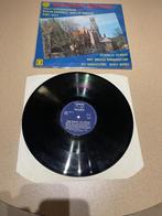 Willy Lustenhouwer ( muzikaal en zang), Ophalen of Verzenden, Zo goed als nieuw, 12 inch, Levenslied of Smartlap