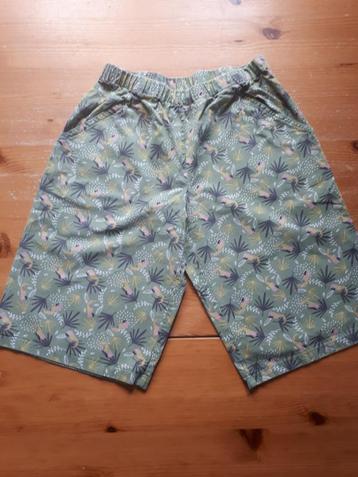 Short enfant taille 152