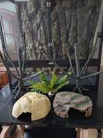 Décors pour terrarium, Dieren en Toebehoren, Reptielen en Amfibieën | Toebehoren, Ophalen, Gebruikt