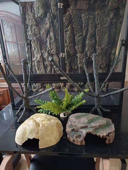 Décors pour terrarium, Dieren en Toebehoren, Reptielen en Amfibieën | Toebehoren, Gebruikt, Ophalen