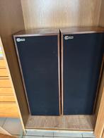 2 luidsprekers Artec, Zo goed als nieuw, 120 watt of meer, Front, Rear of Stereo speakers, Ophalen