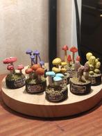 cabinet de curiosités ,lot de champignons miniatures sur soc, Antiquités & Art, Envoi