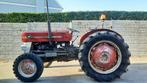 Massey Ferguson 135 bj  1966. Werkt perfect . Met papieren, Zakelijke goederen, Ophalen, Oldtimer, Tot 80 Pk, 7500 tot 10000