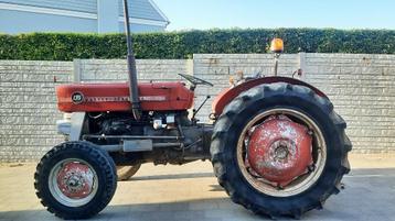 Massey Ferguson 135 bj  1966. Werkt perfect . Met papieren, Zakelijke goederen, Landbouw | Tractoren, Ophalen, Oldtimer, Tot 80 Pk