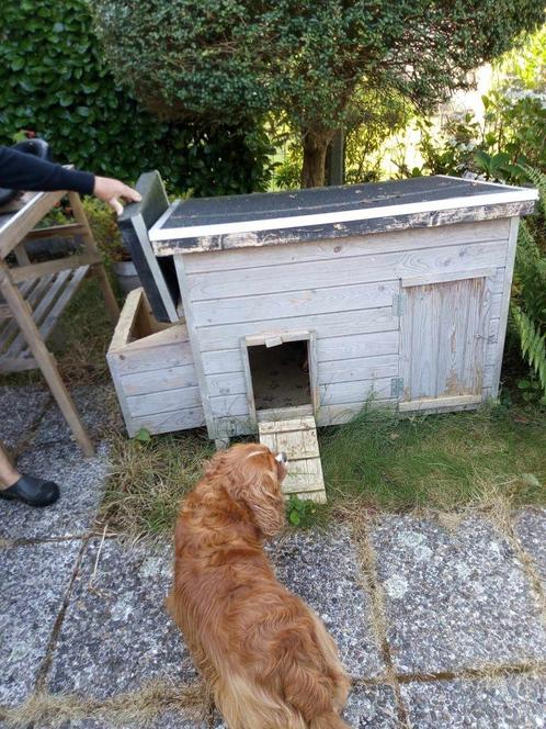 te koop, kippenhok, Dieren en Toebehoren, Vogels | Hokken en Kooien, Gebruikt, Overige typen, Hout, Ophalen