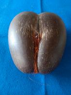 Coco de mer, Ophalen