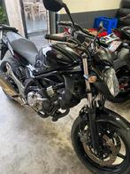 Suzuki gladius 650cc, Motoren, Motorrijbewijs A, Particulier, Meer dan 35 kW, ABS