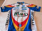 Maillot de cyclisme rétro Selle Italia Colombia, Vélos & Vélomoteurs, Accessoires vélo | Vêtements de cyclisme, Comme neuf, Enlèvement ou Envoi