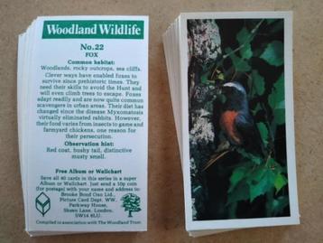 Woodland Wildlife complete set 40 chromos Brooke Bond 1980 disponible aux enchères