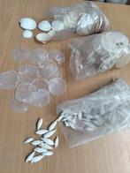 Schelpen in 3 soorten, Ophalen, Nieuw, Materiaal