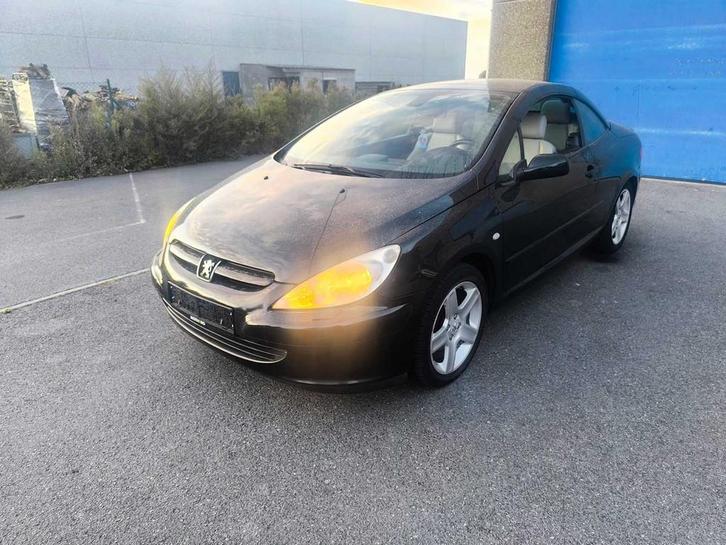 Peugeot - 2005 - 307 CC - 2.0-16V - Personenauto, Auto's, Peugeot, Bedrijf, Open dak, Overige brandstoffen, Euro 3, Cabriolet