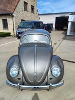 Vw kever ovaal 1955 volledig gerestaureerd incl garantie, Auto's, 4 zetels, Achterwielaandrijving, 4 cilinders, Bedrijf