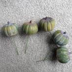 bloemschikmateriaal herfst : 5 groene pompoenen op steekpin, Hobby en Vrije tijd, Knutselen, Nieuw, Overige typen, Ophalen of Verzenden
