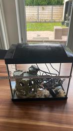 Visbokaal met pompje, Dieren en Toebehoren, Vissen | Aquaria en Toebehoren, Ophalen, Zo goed als nieuw