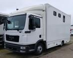 MAN TGL 12.250 paardenvrachtwagen 3 paarden, Auto's, Automaat, Euro 5, MAN, Bedrijf