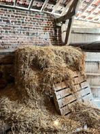 Gratuit - Paille / Stro / Straw, Ophalen of Verzenden