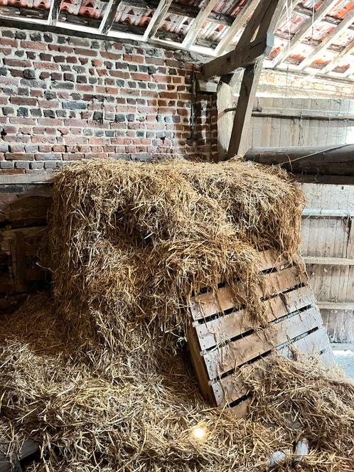Gratuit - Paille / Stro / Straw, Tuin en Terras, Overige Tuin en Terras, Ophalen of Verzenden