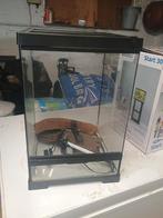 Terrarium, Animaux & Accessoires, Reptiles & Amphibiens | Accessoires, Enlèvement