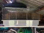 Kooi voor konijn of hamster, Ophalen, Gebruikt, Kooi, Hamster