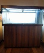 Aquarium juwel rio 240 met kast en toebehoren, Dieren en Toebehoren, Ophalen, Zo goed als nieuw
